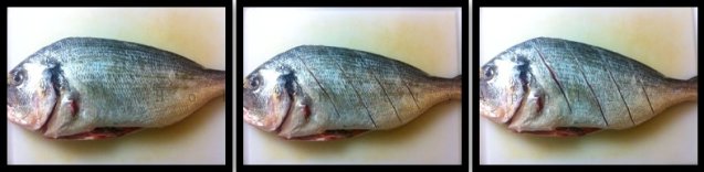 preparefish